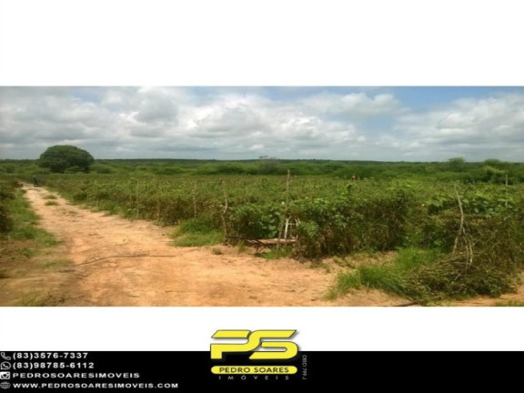 Imagem Imóvel para Alugar, 6.300 m² em Taperoá - Taperoá Imagem Imóvel para Alugar, 6.300 m² em Taperoá - Taperoá
