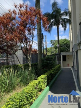 Imagem Apartamento com 2 Quartos à Venda, 59 m² em Barro Branco (zona Norte) - São Paulo Imagem Apartamento com 2 Quartos à Venda, 59 m² em Barro Branco (zona Norte) - São Paulo