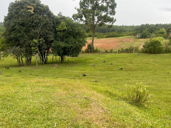 Imagem Chácara com 2 Quartos à Venda, 32.000 m² em Fazenda Fialho - Taquara Imagem Chácara com 2 Quartos à Venda, 32.000 m² em Fazenda Fialho - Taquara