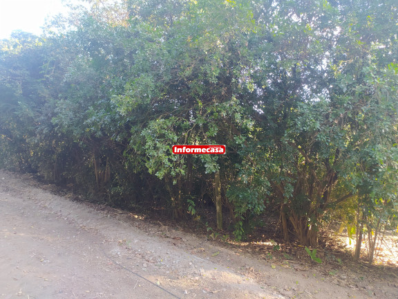 Imagem Imóvel com 3 Quartos à Venda, 70.000 m² em Pedra Lisa - Japeri Imagem Imóvel com 3 Quartos à Venda, 70.000 m² em Pedra Lisa - Japeri