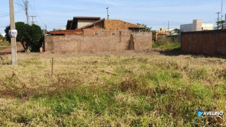 Imagem Terreno à Venda, 250 m² em Morada Dos Deuses - Campo Grande Imagem Terreno à Venda, 250 m² em Morada Dos Deuses - Campo Grande