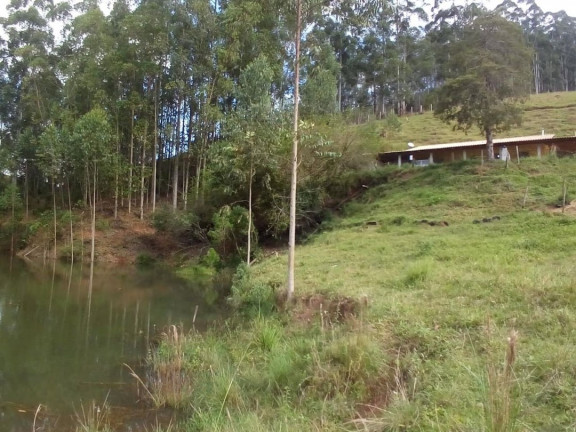 Imagem Chácara com 2 Quartos à Venda, 200 m² em Centro - Paraibuna Imagem Chácara com 2 Quartos à Venda, 200 m² em Centro - Paraibuna