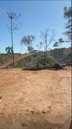 Imagem Imóvel à Venda, 3.000 m² em Jardim Da Colina - Campina Grande Do Sul Imagem Imóvel à Venda, 3.000 m² em Jardim Da Colina - Campina Grande Do Sul