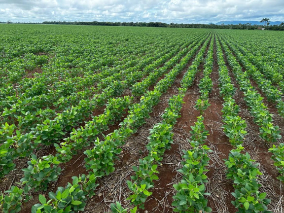 Imagem Fazenda à Venda, 9.700 m² em Rural - Pontes E Lacerda