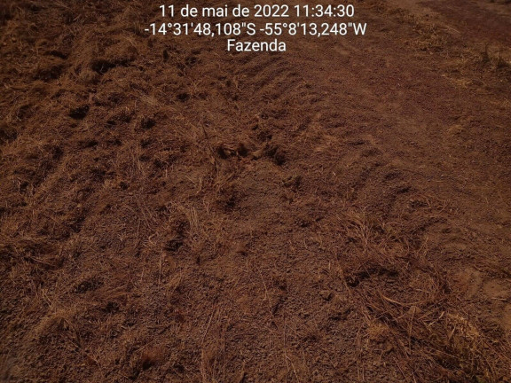 Imagem Fazenda à Venda, 3.600 m² em Nova Brasilândia Imagem Fazenda à Venda, 3.600 m² em Nova Brasilândia