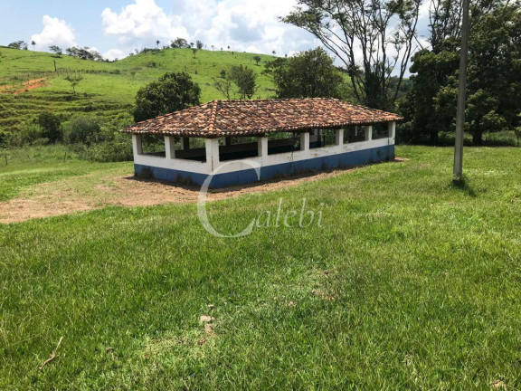 Imagem Fazenda à Venda, 160 m² em Itapira Imagem Fazenda à Venda, 160 m² em Itapira