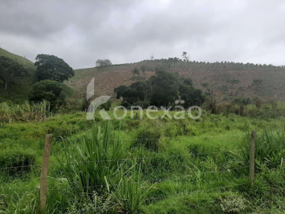 Imagem Fazenda à Venda, 90 m² em Itapeva - Paraibuna Imagem Fazenda à Venda, 90 m² em Itapeva - Paraibuna