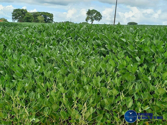 Imagem Fazenda à Venda, 60 m² em Zona Rural - Itaberaí Imagem Fazenda à Venda, 60 m² em Zona Rural - Itaberaí