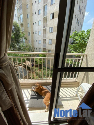Imagem Apartamento com 2 Quartos à Venda, 54 m² em Jardim íris - São Paulo Imagem Apartamento com 2 Quartos à Venda, 54 m² em Jardim íris - São Paulo