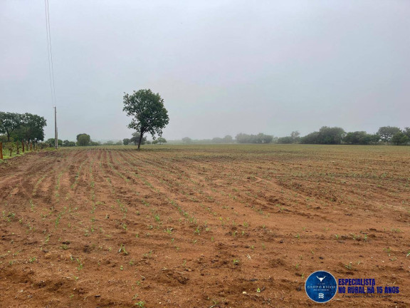 Imagem Chácara à Venda, 8 m² em Zona Rural - Matrinchã Imagem Chácara à Venda, 8 m² em Zona Rural - Matrinchã