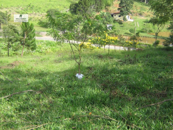 Imagem Chácara à Venda, 11.280 m² em Alto Da Serra - São Roque