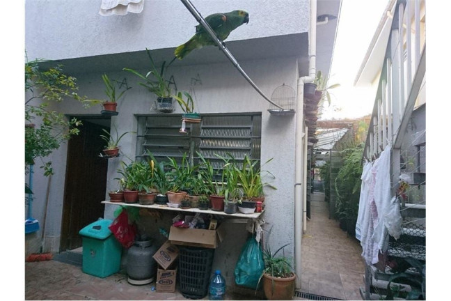 Imagem Casa com 4 Quartos à Venda, 200 m² em Vila Mascote - São Paulo