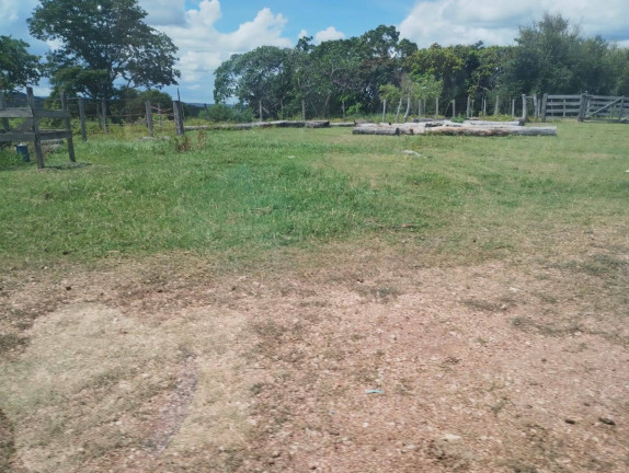 Imagem Fazenda à Venda, 1.000 m² em Cuiabá Imagem Fazenda à Venda, 1.000 m² em Cuiabá