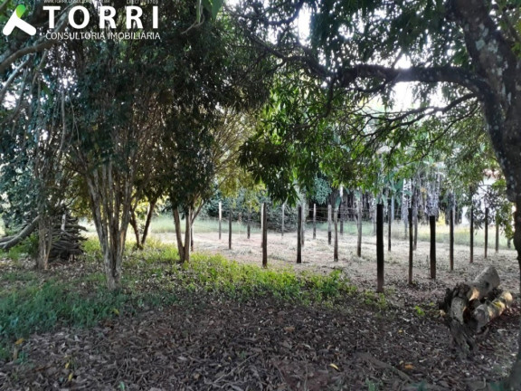 Imagem Imóvel com 3 Quartos à Venda, 23.800 m² em Centro - Boituva Imagem Imóvel com 3 Quartos à Venda, 23.800 m² em Centro - Boituva