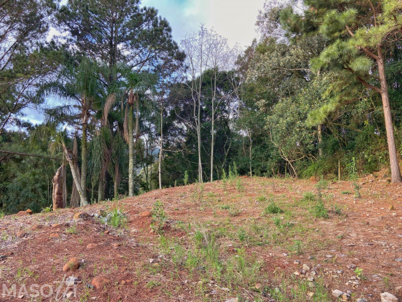 Imagem Terreno à Venda, 988 m² em Vale Das Colinas - Gramado Imagem Terreno à Venda, 988 m² em Vale Das Colinas - Gramado