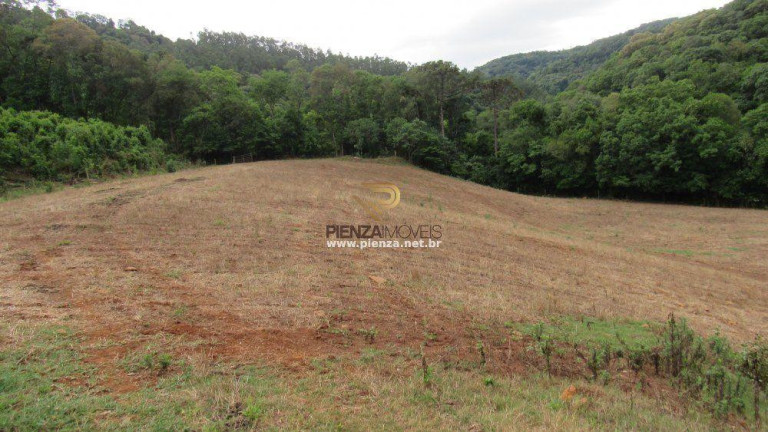 Imagem Terreno à Venda, 170.000 m² em Interior - Ipumirim Imagem Terreno à Venda, 170.000 m² em Interior - Ipumirim