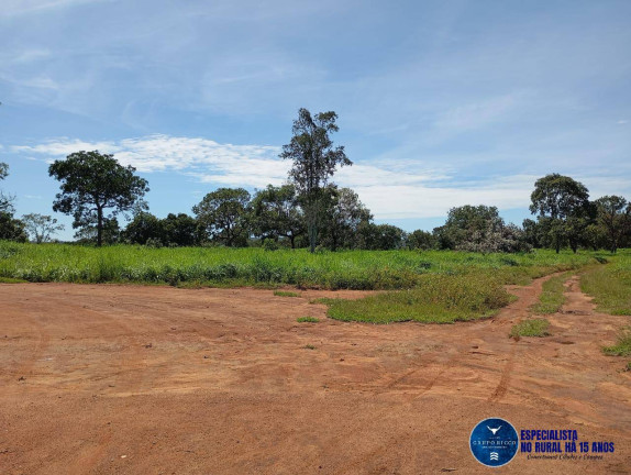 Imagem Fazenda à Venda, 60 m² em Zona Rural - Jussara Imagem Fazenda à Venda, 60 m² em Zona Rural - Jussara
