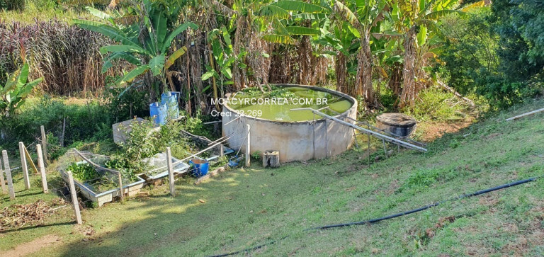 Imagem Imóvel com 3 Quartos à Venda, 5.053 m² em Terras De Santa Maria. - Itu Imagem Imóvel com 3 Quartos à Venda, 5.053 m² em Terras De Santa Maria. - Itu