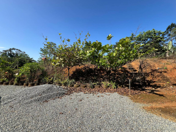 Imagem Chácara com 3 Quartos à Venda, 2.600.000 m² em Massaranduba Imagem Chácara com 3 Quartos à Venda, 2.600.000 m² em Massaranduba