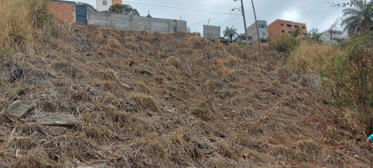 Imagem Terreno à Venda, 367 m² em Havaí - Belo Horizonte