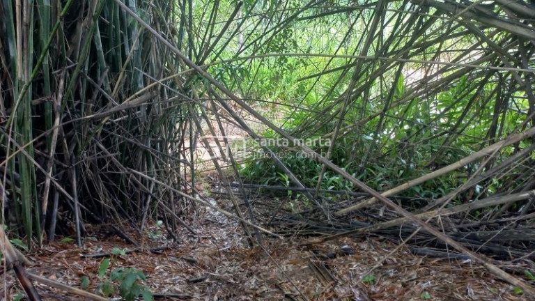 Imagem Imóvel com 2 Quartos à Venda, 67 m² em Palmital - Cachoeira Paulista Imagem Imóvel com 2 Quartos à Venda, 67 m² em Palmital - Cachoeira Paulista
