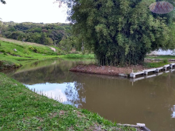 Imagem Casa com 3 Quartos à Venda, 150.000 m² em Taiaçupeba - Mogi Das Cruzes