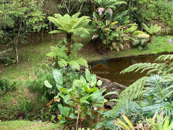 Imagem Imóvel com 6 Quartos à Venda, 544.500 m² em São Geraldo - Nova Friburgo Imagem Imóvel com 6 Quartos à Venda, 544.500 m² em São Geraldo - Nova Friburgo