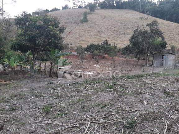 Imagem Chácara com 1 Quarto à Venda, 70 m² em Lagoa - Paraibuna