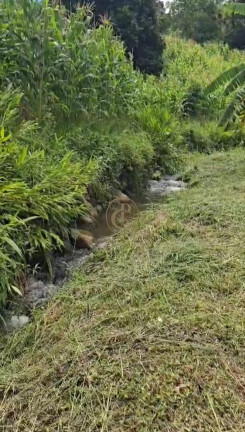 Imagem Fazenda à Venda, 250 m² em Pouso Alto - Paraibuna Imagem Fazenda à Venda, 250 m² em Pouso Alto - Paraibuna