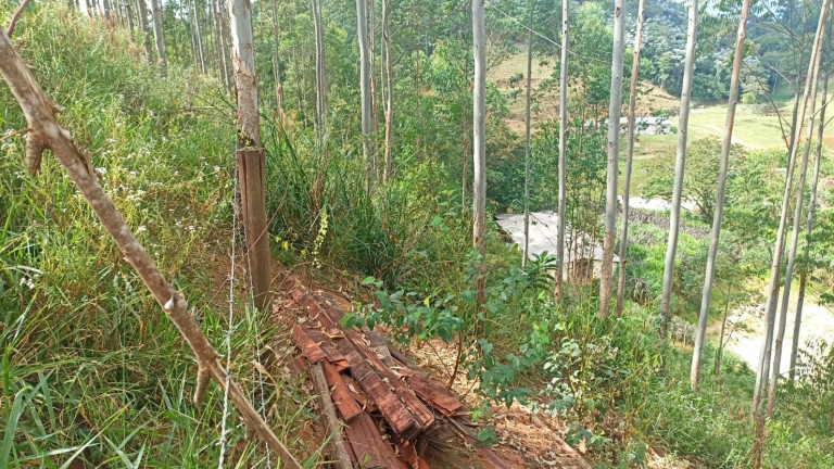 Imagem Chácara com 4 Quartos à Venda, 500 m² em Centro - Paraibuna