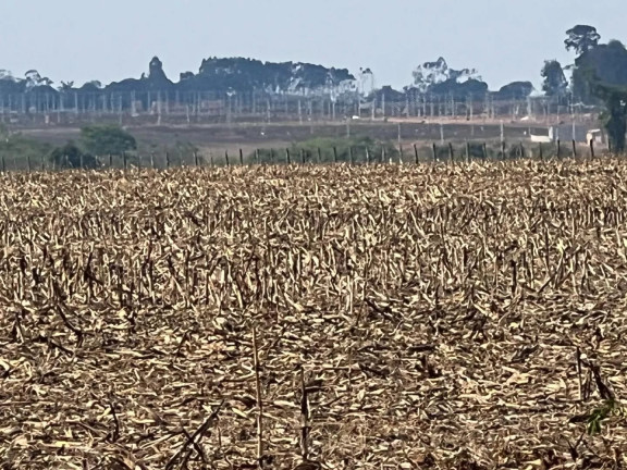 Imagem Fazenda à Venda, 108 m² em Zona Rural - Sinop Imagem Fazenda à Venda, 108 m² em Zona Rural - Sinop