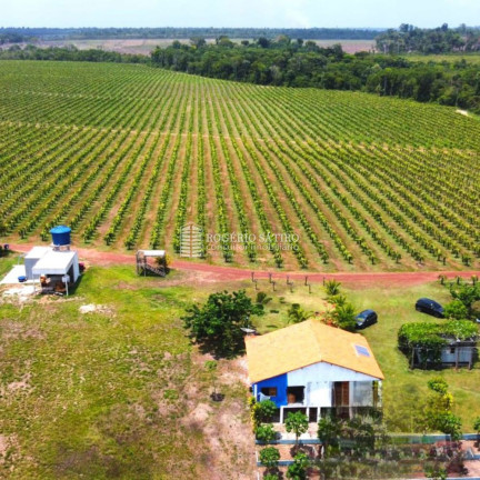Imagem Imóvel com 3 Quartos à Venda, 9.600.000 m² em Centro - Tomé-açú Imagem Imóvel com 3 Quartos à Venda, 9.600.000 m² em Centro - Tomé-açú