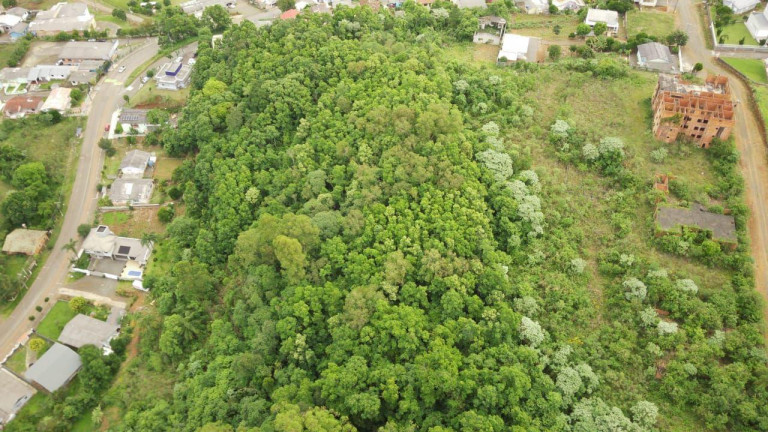 Imagem Terreno à Venda, 190.000 m² em Cristal - Concórdia Imagem Terreno à Venda, 190.000 m² em Cristal - Concórdia