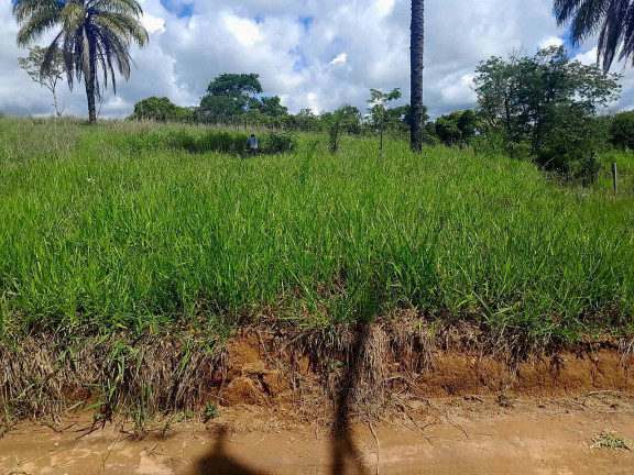 Imagem Chácara à Venda, 592 m² em São João Da Boa Vista Imagem Chácara à Venda, 592 m² em São João Da Boa Vista