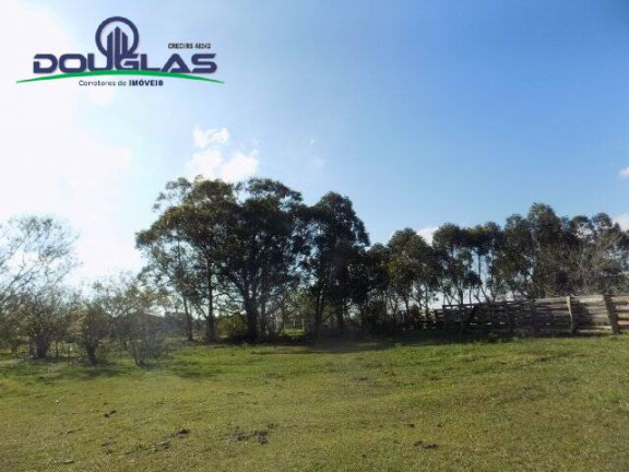 Imagem Terreno à Venda, 2.885 m² em águas Claras - Viamão