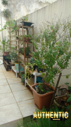 Imagem Casa com 3 Quartos à Venda, em Parque Esmeralda - Sorocaba Imagem Casa com 3 Quartos à Venda, em Parque Esmeralda - Sorocaba