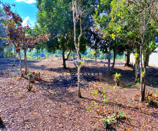 Imagem Terreno à Venda, 600 m² em Chácaras Panôramicas - Porto Seguro Imagem Terreno à Venda, 600 m² em Chácaras Panôramicas - Porto Seguro
