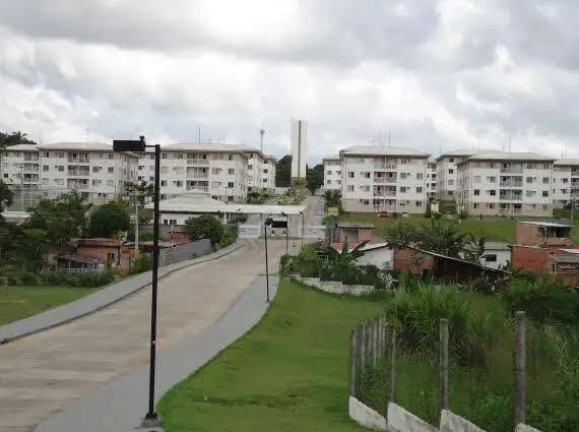 Imagem Apartamento com 3 Quartos à Venda, 68 m² em Colonia Santo Antônio - Manaus Imagem Apartamento com 3 Quartos à Venda, 68 m² em Colonia Santo Antônio - Manaus