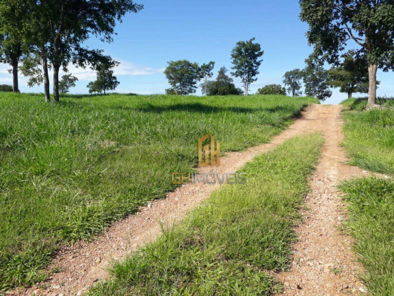 Imagem Chácara à Venda, 338.800 m² em Area Rural - Novo Brasil Imagem Chácara à Venda, 338.800 m² em Area Rural - Novo Brasil