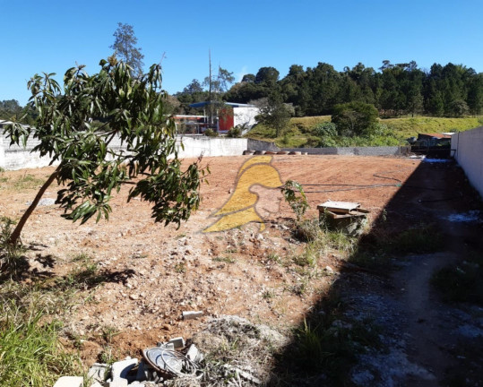 Imagem Terreno à Venda, 3.247 m² em Jardim São Vicente - Cotia