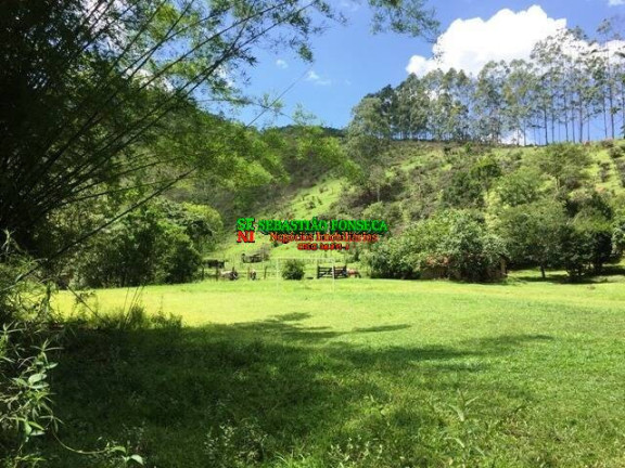Imagem Chácara com 5 Quartos à Venda, 244.000 m² em São Francisco Xavier - São José Dos Campos Imagem Chácara com 5 Quartos à Venda, 244.000 m² em São Francisco Xavier - São José Dos Campos
