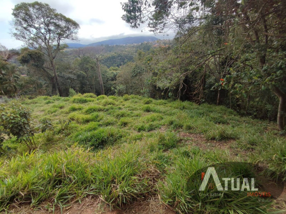 Imagem Terreno à Venda, 1.150 m² em Terra Preta - Mairiporã