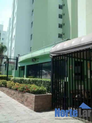 Apartamento com 2 Quartos à Venda, 50 m² em Vila Amélia - São Paulo