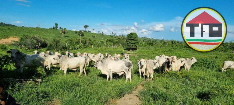 Imagem Fazenda à Venda, 17.085.200 m² em Zona Rural - Itupiranga Imagem Fazenda à Venda, 17.085.200 m² em Zona Rural - Itupiranga