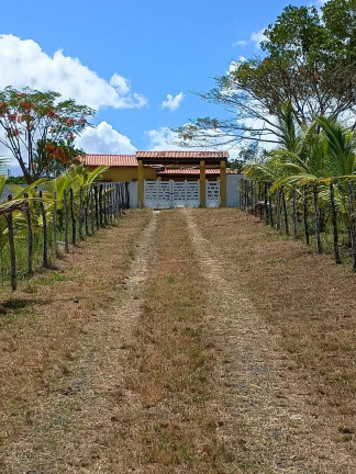 Imagem Fazenda à Venda, 10 m² em Planalto Ii - Catu Imagem Fazenda à Venda, 10 m² em Planalto Ii - Catu