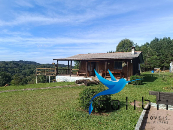 Imagem Chácara com 4 Quartos à Venda, 5.897 m² em Leão - Agudos Do Sul