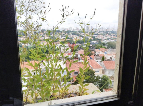 Imagem Apartamento com 3 Quartos à Venda, 117 m² em Mirandópolis - São Paulo Imagem Apartamento com 3 Quartos à Venda, 117 m² em Mirandópolis - São Paulo