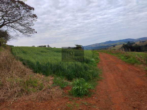Imagem Terreno à Venda, 2.600 m² em Tomazina - Tomazina