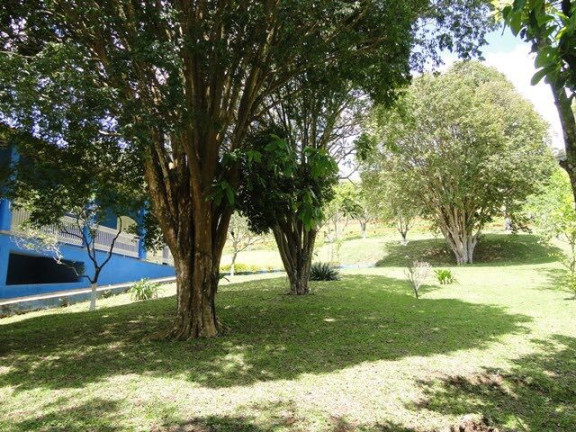 Imagem Fazenda à Venda, 60 m² em Lambari Imagem Fazenda à Venda, 60 m² em Lambari