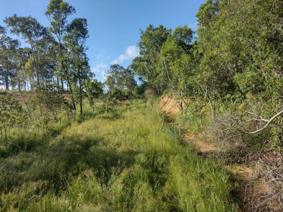 Imagem Terreno à Venda, 20.000 m² em Alto Perequê - Arroio Do Padre